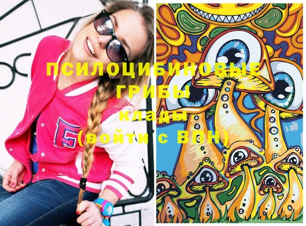 ECSTASY Белокуриха
