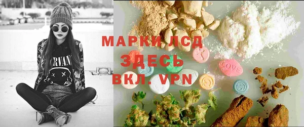 ECSTASY Белокуриха