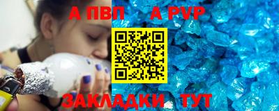 стаф Гатчина