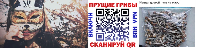 Псилоцибиновые грибы Cubensis  Бузулук 