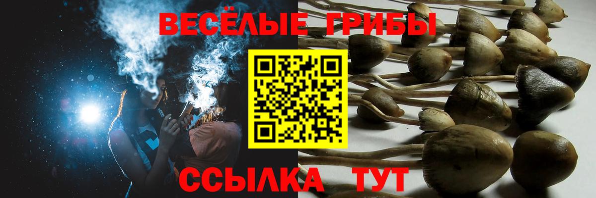 Бузулук  Галлюциногенные грибы GOLDEN TEACHER  Вход с VPN 